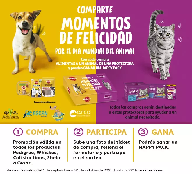 Celebra el Día Mundial del Animal con un premio para tu gato o tu perro