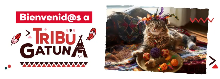 Kiwoko te da la bienvenida a la Tribu Gatuna