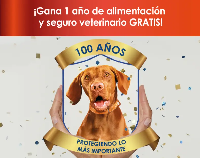 Gana un año de alimentación y seguro veterinario gratuito con Purina